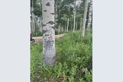 4410 Fawn Way #2038, Heber City, UT 84032 - Photo 5