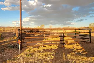 9755 E 4000 N, Lapoint, UT 84039 - Photo 67