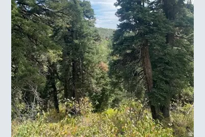 2393 S Navajo Dr #C-47, Coalville, UT 84017 - Photo 3