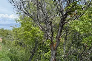 1517 S Mahogany Dr, Garden City, UT 84028 - Photo 1