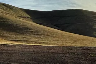 599 S Oakridge Dr E, Tooele, UT 84074 - Photo 9