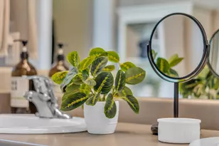 10223 S Split Rock Dr, South Jordan, UT 84009 - Photo 23