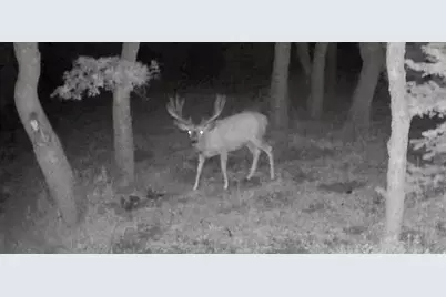 45 Oak Crest Drive, Mount Pleasant, UT 84647 - Photo 49