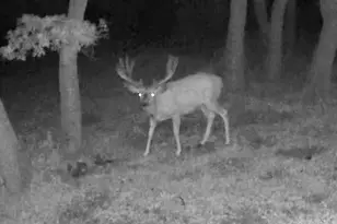 45 Oak Crest Dr, Mount Pleasant, UT 84647 - Photo 49