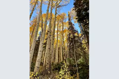 45 Oak Crest Drive, Mount Pleasant, UT 84647 - Photo 47