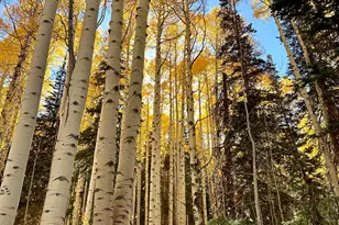 45 Oak Crest Dr, Mount Pleasant, UT 84647 - Photo 47