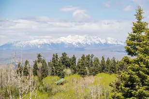 23200 N Hillside Dr E, Fairview, UT 84629 - Photo 33