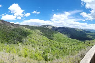 23200 N Hillside Dr E, Fairview, UT 84629 - Photo 21