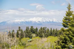 23200 N Hillside Dr E, Fairview, UT 84629 - Photo 31