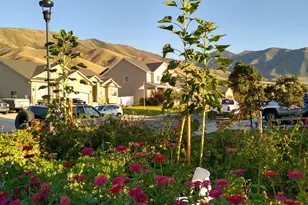 1124 S 1050 W, Tooele, UT 84074 - Photo 41