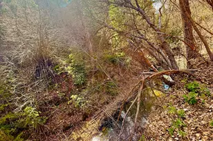 13780 Birch Creek Rd, Fairview, UT 84629 - Photo 33