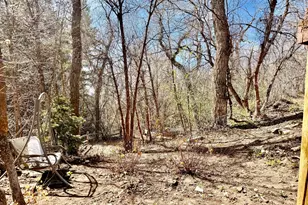 13780 Birch Creek Rd, Fairview, UT 84629 - Photo 31