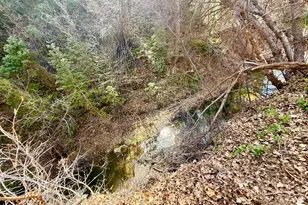 13780 Birch Creek Rd, Fairview, UT 84629 - Photo 3