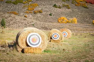 7396 E Moonlight Dr, Heber City, UT 84032 - Photo 35