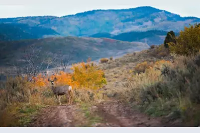 7396 E Moon Light Dr #325A, Heber City, UT 84032 - Photo 49