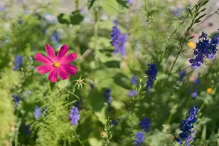 1410 S 300 E, Salt Lake City, UT 84115 - Photo 41