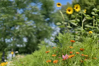 1410 S 300 E, Salt Lake City, UT 84115 - Photo 49