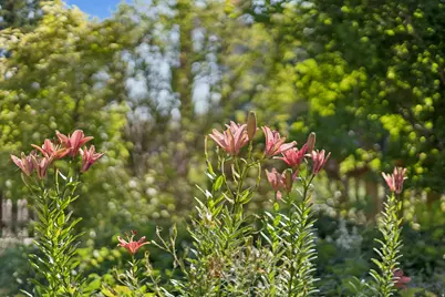 1410 S 300 E, Salt Lake City, UT 84115 - Photo 37