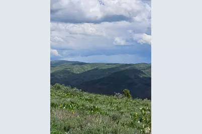 3388 N Oak Cyn #527, Huntsville, UT 84317 - Photo 21