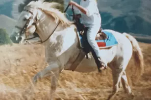 3388 N Oak Cyn, Huntsville, UT 84317 - Photo 1