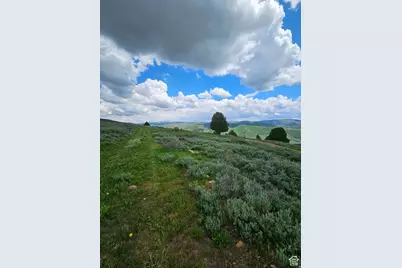 3388 N Oak Cyn #527, Huntsville, UT 84317 - Photo 17