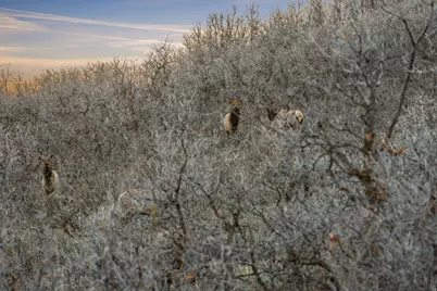 1980 Lower Cove Rd #61, Park City, UT 84098 - Photo 31