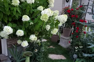 1351 W Glenbarr Dr S, Springville, UT 84663 - Photo 25