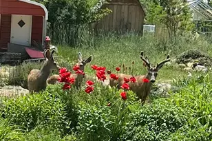 430 E 100 N, Mount Pleasant, UT 84647 - Photo 11