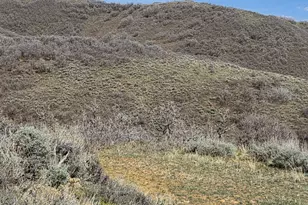 12602 Skyline Rd, Echo, UT 84024 - Photo 9