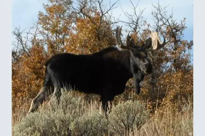 12602 Skyline Rd #130, Echo, UT 84024 - Photo 43