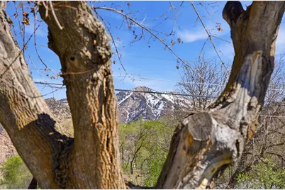 2244 Jackson Ave, Ogden, UT 84401 - Photo 37