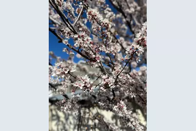 2998 S Wooley Way, Magna, UT 84044 - Photo 29