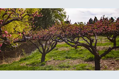 1155 E 2750 N, North Ogden, UT 84414 - Photo 19