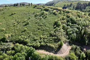 23206 N 14136 E, Fairview, UT 84629 - Photo 1