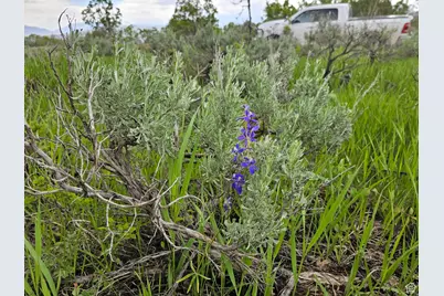 2 Whispering Pines Rd #2, Mount Pleasant, UT 84647 - Photo 7