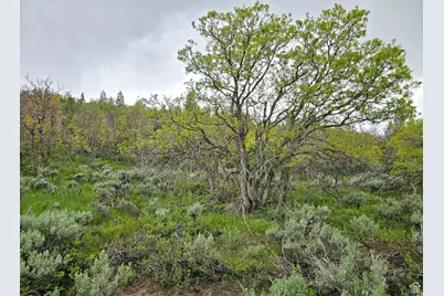 3 Whispering Pines Rd #3, Mount Pleasant, UT 84647 - Photo 3