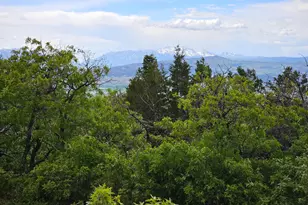 3 Whispering Pines Rd, Mount Pleasant, UT 84647 - Photo 1