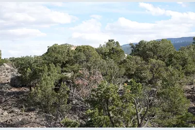 1115 E Donkey Flats Rd, Teasdale, UT 84773 - Photo 13