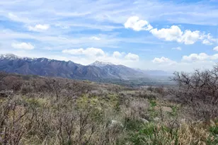 2181 E Bald Eagle Ct, Draper, UT 84020 - Photo 47