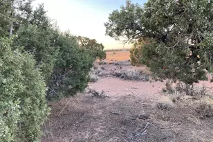 See Directions, Duchesne, UT 84021 - Photo 5