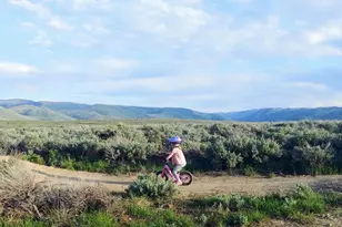 128 Aspen Cove Dr, Scofield, UT 84526 - Photo 53