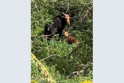 152 S Pine Dr #33, Huntsville, UT 84317 - Photo 55