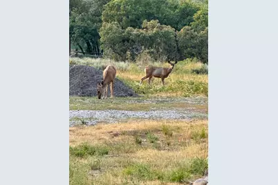 152 S Pine Dr #33, Huntsville, UT 84317 - Photo 53