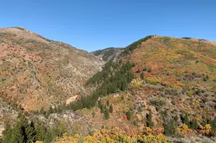 152 S Pne Dr, Huntsville, UT 84317 - Photo 51