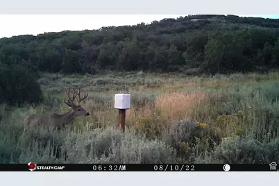 28 Moose Horn Rd #28, Coalville, UT 84017 - Photo 23