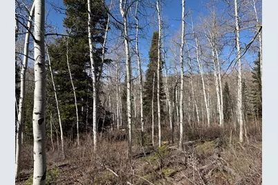 5209 White Pine Cir #545, Oakley, UT 84055 - Photo 17