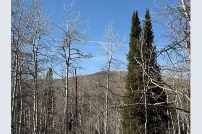 5209 White Pine Cir #545, Oakley, UT 84055 - Photo 5