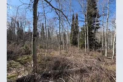 5209 White Pine Cir #545, Oakley, UT 84055 - Photo 23