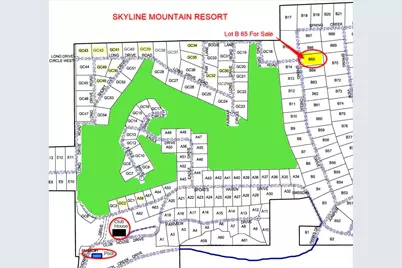 22690 Spring Creek Dr #B65, Fairview, UT 84629 - Photo 3