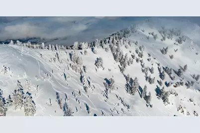 8495 E Cobabe Ct, Eden, UT 84310 - Photo 27